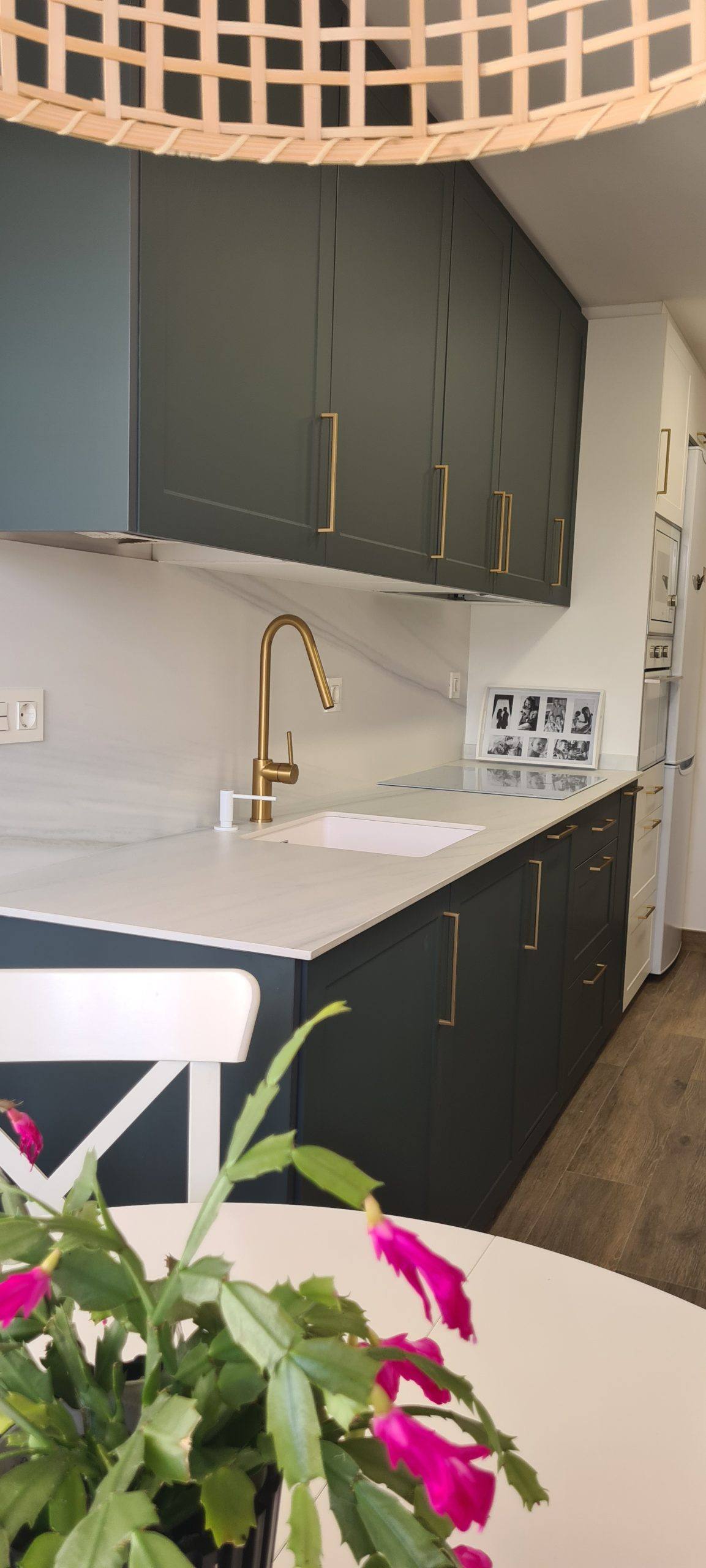 proyecto cocina verde